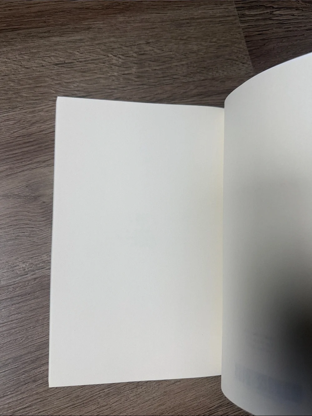 Near New! Cuentos Sublimes by Antonio Nascimento Thomas (Spanish Edition)
